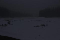 20190212_0800