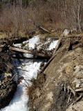 Elk_Creek_-_4-25