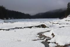 20180203_1130
