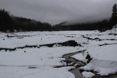 20180204_1530