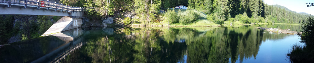 Mill Pond Dam Removal and Restoration Seattle