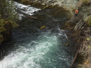 Collecting stream data for new stream channel design